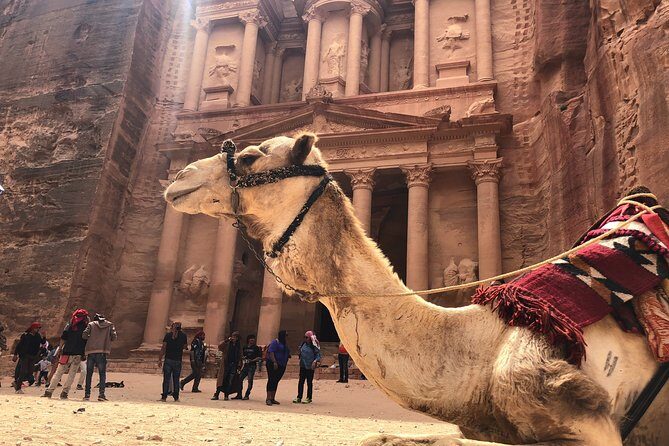From Amman | Dead sea and Petra in one day | Admission Fees Included - The Itinerary: A Day Packed with Wonders