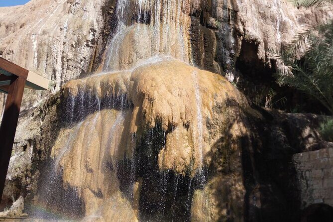 From Amman :Full day Dead Sea and Ma'in Hot spring tour - Who Will Love This Tour?