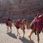 From Amman: one day tour to Petra - The Sum Up: Is This Tour Worth It?