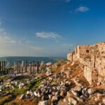 From Amman: Private Full Day Tour Jerash Ajloun & Um Qais - Practical Details That Matter
