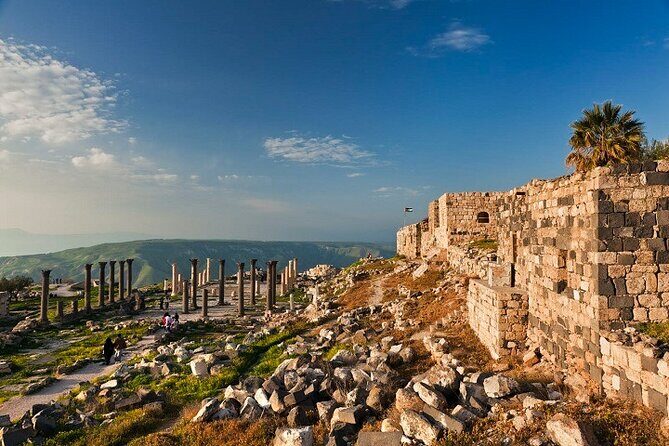 From Amman: Private Full Day Tour Jerash Ajloun & Um Qais - Practical Details That Matter