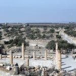 From Amman to North ( umm qais, Jerash and ajloun) - Authentic Experiences From Past Travelers