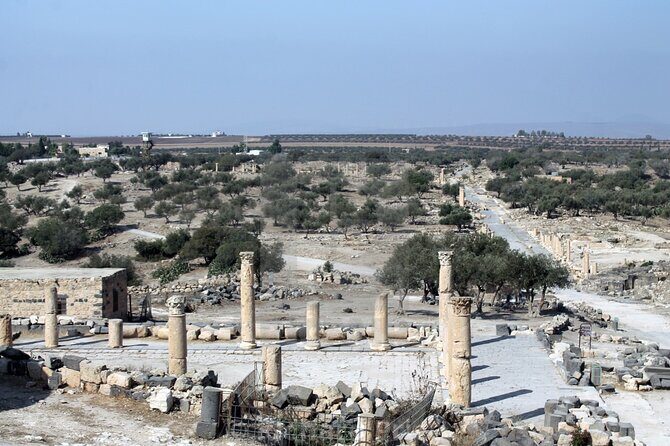From Amman to North ( umm qais, Jerash and ajloun) - Authentic Experiences From Past Travelers