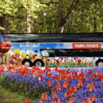 From Amsterdam: Keukenhof Shuttlebus and Entry Ticket - Who Is This Tour Best For?