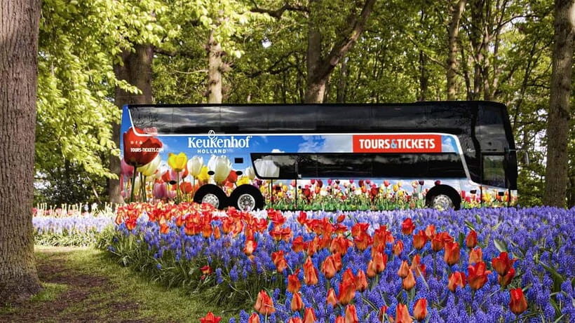 From Amsterdam: Keukenhof Shuttlebus and Entry Ticket - Who Is This Tour Best For?