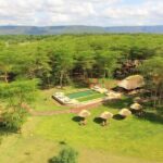 From Arusha: 11 days The Classics Northern Tanzania safari - What Makes This Tour Special?