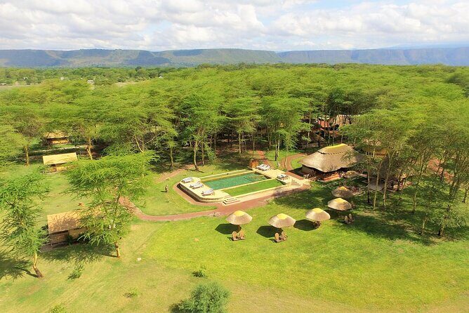 From Arusha: 11 days The Classics Northern Tanzania safari - What Makes This Tour Special?