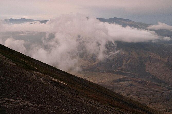 From Arusha : 11 days The Complete Africa Safari North Tour - What Makes This Tour a Great Choice?