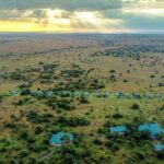 From Arusha : 3 Days Private Safari Tarangire N.P and Serengeti - Practical Tips for Potential Travelers
