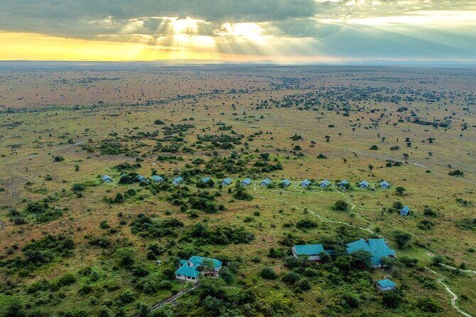 From Arusha : 3 Days Private Safari Tarangire N.P and Serengeti - Practical Tips for Potential Travelers