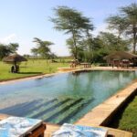 From Arusha: 5 Days Classic Safari Cats, Calves & Crater - What Sets This Tour Apart