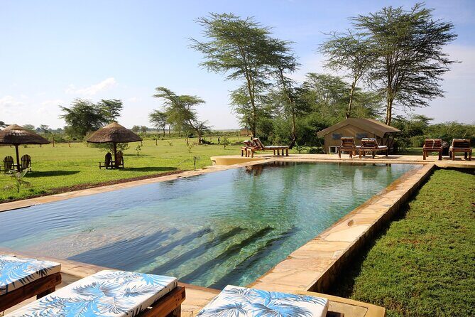 From Arusha: 5 Days Classic Safari Cats, Calves & Crater - What Sets This Tour Apart
