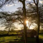 From Arusha: 7-Day Discovery of the real Africa from Lake Manyara - Price & Value