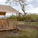 From Arusha: 7 Days Classic Safari Central Northern Circuit - Why This Safari Offers Good Value