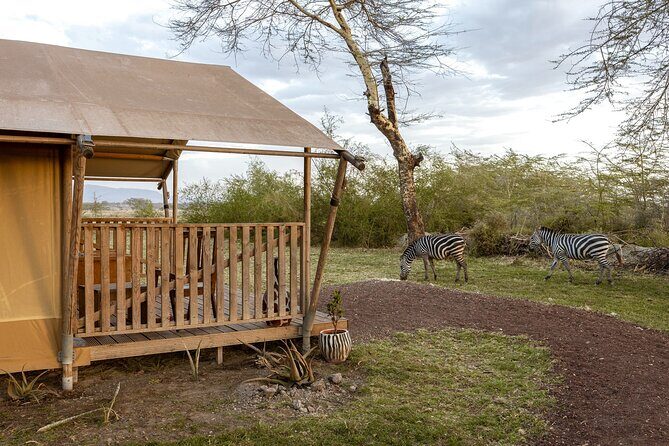 From Arusha: 7 Days Classic Safari Central Northern Circuit - Why This Safari Offers Good Value