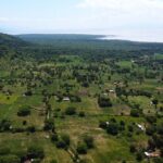 From Arusha: 9 Days Private Guided Classic Game Drive in Tanzania - What Makes This Tour Stand Out?