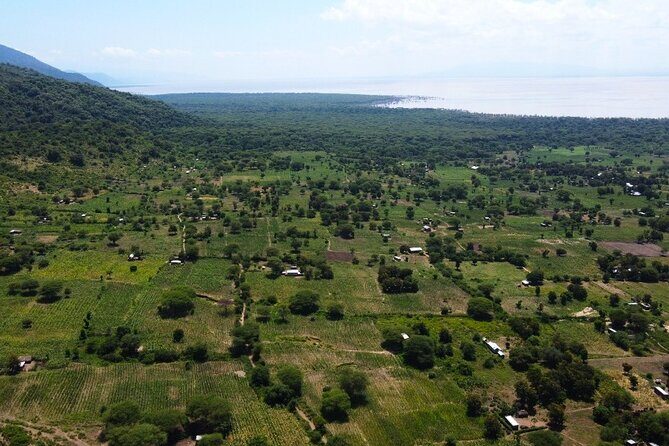 From Arusha: 9 Days Private Guided Classic Game Drive in Tanzania - What Makes This Tour Stand Out?