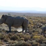 From Arusha: Tarangire and Ngorongoro Crater 3-Day Private Safari - What to Expect from the Experience