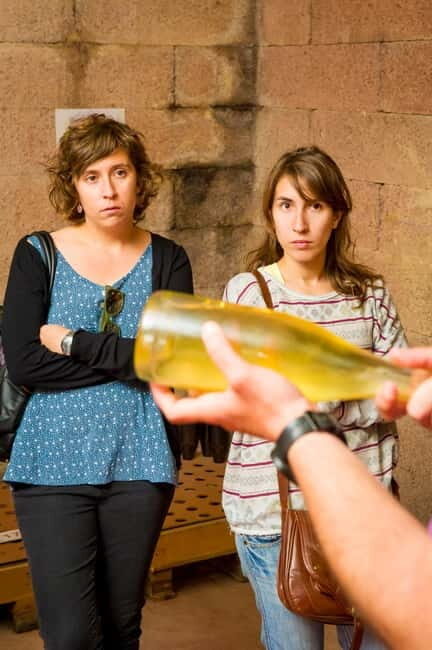 From Barcelona:Penedès Wine&Cava half-day trip with Workshop - Who Will Love This Tour?