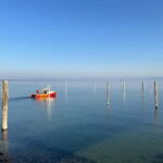 From Basel: 4 Countries and Lake Bodensee Private Car Tour - Why the Experience Works