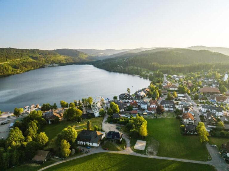 From Basel: Day trip Black Forest culture and indulgence - Who Is This Tour Best Suited For?