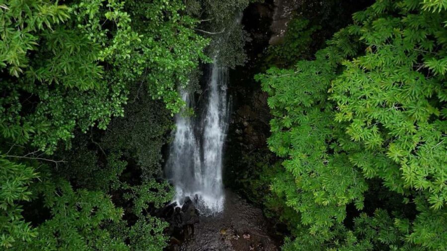 From Batumi: Adjara Adventure Tour - Who Should Consider This Tour?