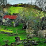 From Belfast: The Gobbins Cliff walk and Glens of Antrim - Why Choose This Tour? Analyzing the Value