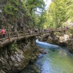 From Bled: Self-Guided E-Bike Tour to Vintgar Gorge - What to Expect on Your Day