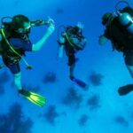 From Bodrum: Scuba Diving in the Aegean Sea - The Value of This Tour