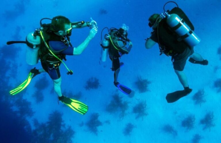 From Bodrum: Scuba Diving in the Aegean Sea - The Value of This Tour