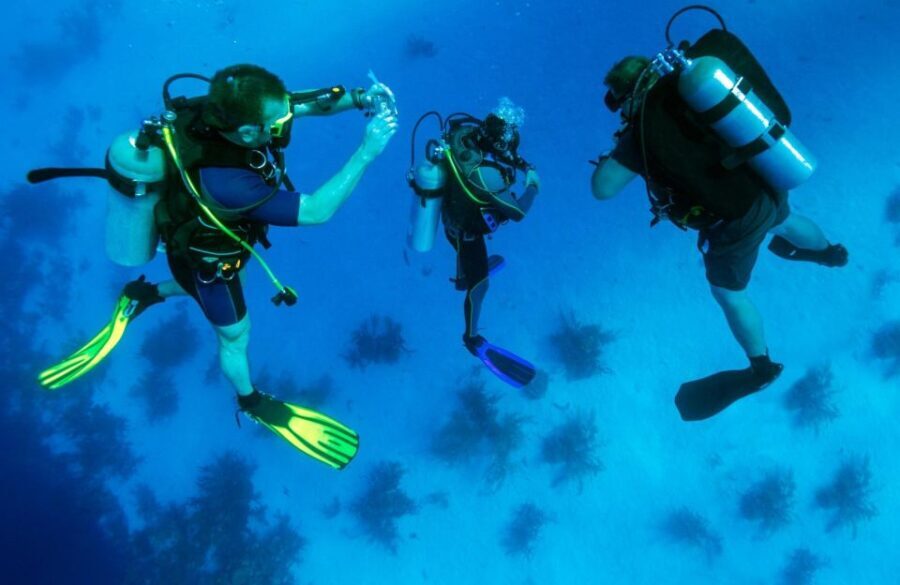 From Bodrum: Scuba Diving in the Aegean Sea - The Value of This Tour