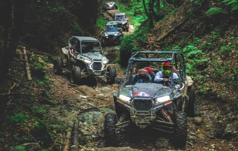 From Bucharest: BUGGY Quad Tour in the Carpathian Mountains - What to Expect During the Tour