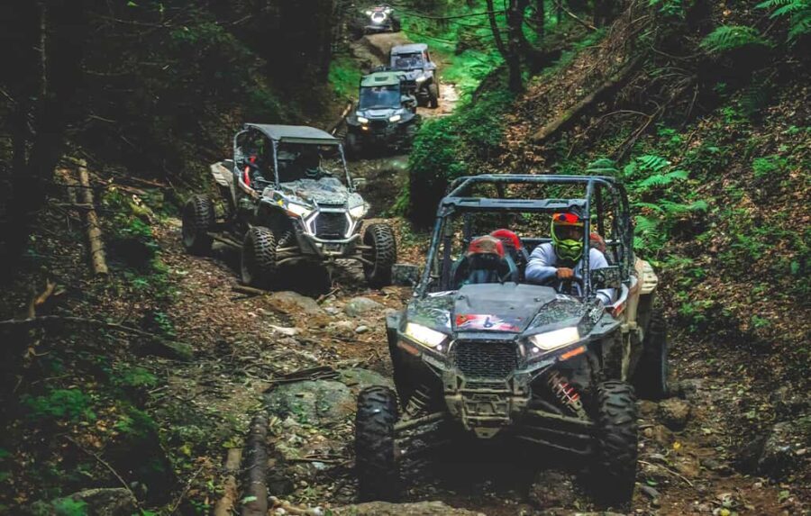 From Bucharest: BUGGY Quad Tour in the Carpathian Mountains - What to Expect During the Tour