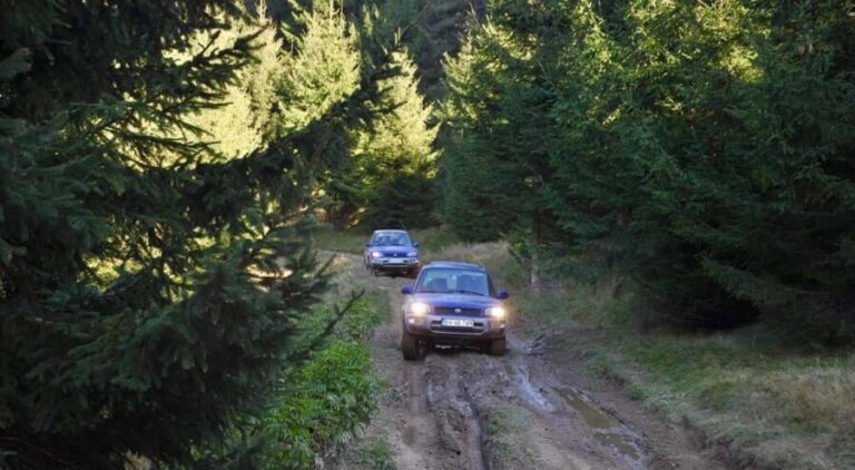 From Bucharest: Off-Road in the Carpathian Mountains - The Scenic Highlights