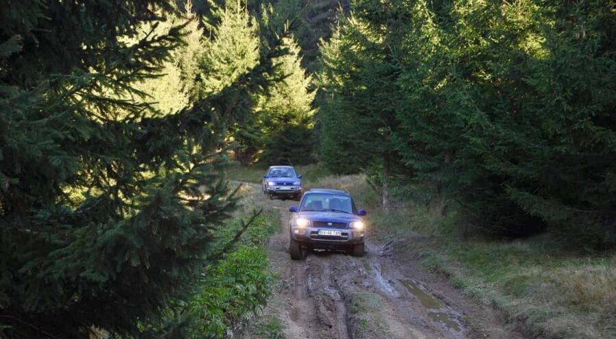 From Bucharest: Off-Road in the Carpathian Mountains - The Scenic Highlights