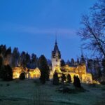 From Bucharest: Private Day tour Salt mine & Peles Castle - Practical Tips for Your Day Trip