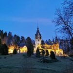 From Bucharest: Private Day Tour to Peles and Bran Castles - Practical Details and Tips for Your Day