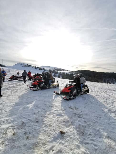 From Bucharest: Snowmobile Tour in the Carpathian Mountains - Experience Highlights