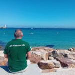From Cádiz Bay: Tarifa Dolphin Watching Tour - Analyzing the Value