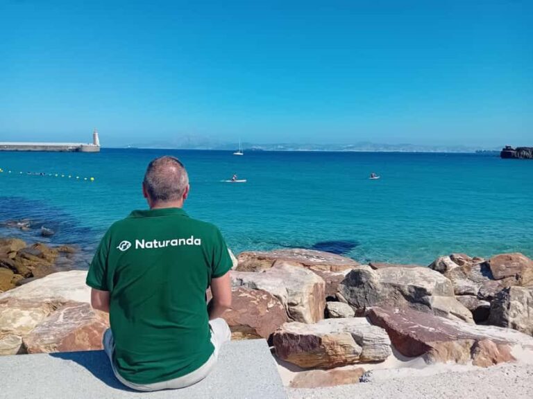 From Cádiz Bay: Tarifa Dolphin Watching Tour - Analyzing the Value