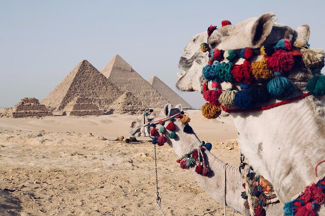 From Cairo: Half-Day Tour to Pyramids of Giza and the Sphinx - Why This Tour Works for Travelers