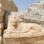 From Cairo to Whales Valley and Wadi El Rayan Waterfalls - Unique Insights from Travelers