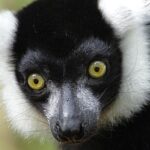 From Cape Town: 2-Nights, 3-Days Garden Route private tour - Practical Tips & Considerations