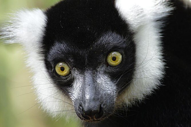 From Cape Town: 2-Nights, 3-Days Garden Route private tour - Practical Tips & Considerations