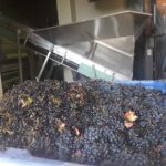 From CapeTown: Stellenbosch Half Day Wine Tour - The Itinerary: What to Expect