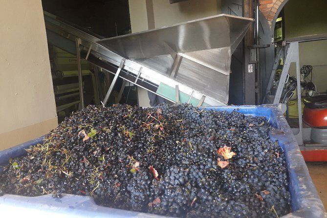 From CapeTown: Stellenbosch Half Day Wine Tour - The Itinerary: What to Expect
