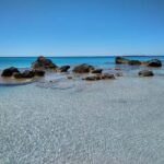 From Chania: Falassarna Beach, Wine & Olive Oil Private Tour - The Details: Transportation, Pricing, and Practical Tips