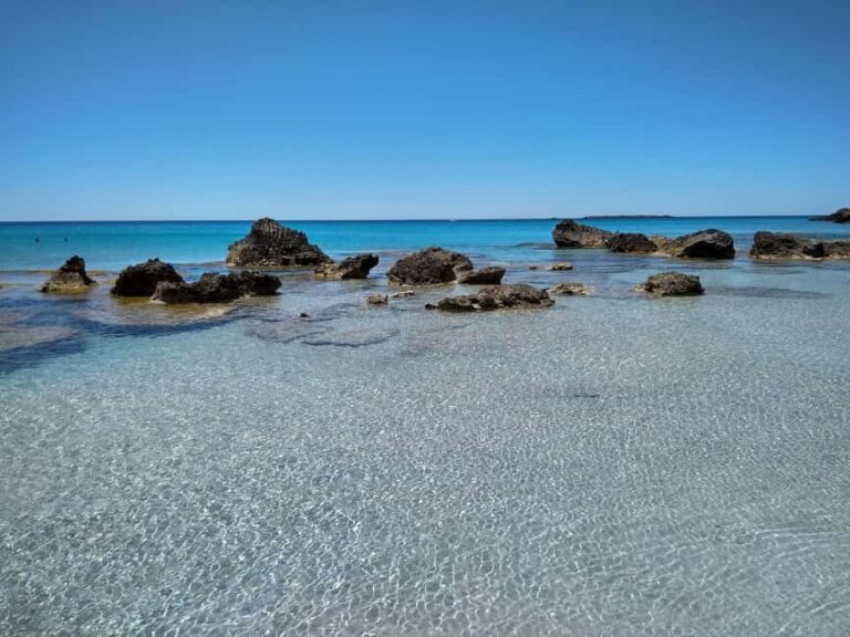 From Chania: Falassarna Beach, Wine & Olive Oil Private Tour - The Details: Transportation, Pricing, and Practical Tips