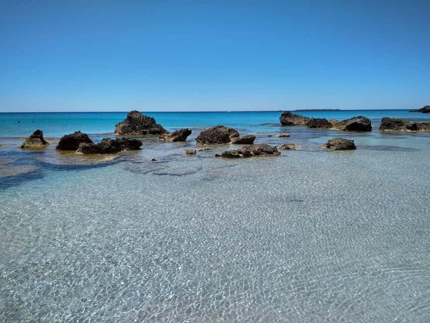 From Chania: Falassarna Beach, Wine & Olive Oil Private Tour - The Details: Transportation, Pricing, and Practical Tips