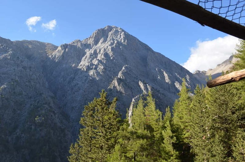From Chania: Samaria Gorge Hike with Local Mountain Guide - The Itinerary: A Step-by-Step Breakdown